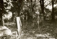 Widok w stronę kaplicy z alei przy szosie, 1983, zabytki.pl